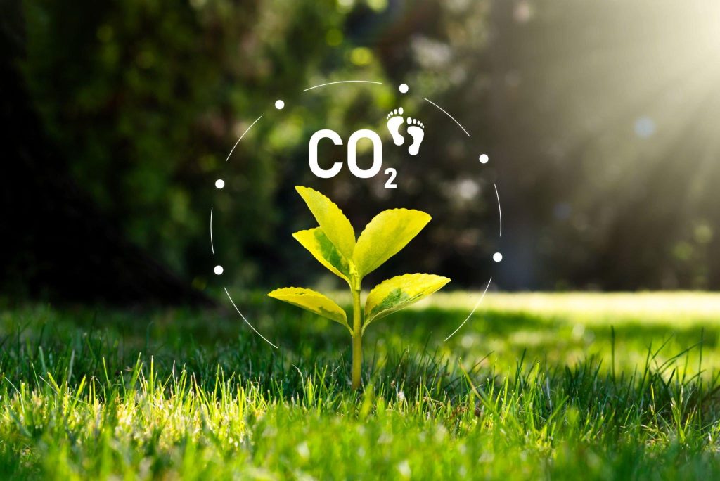 Carbon Footprint consultancy