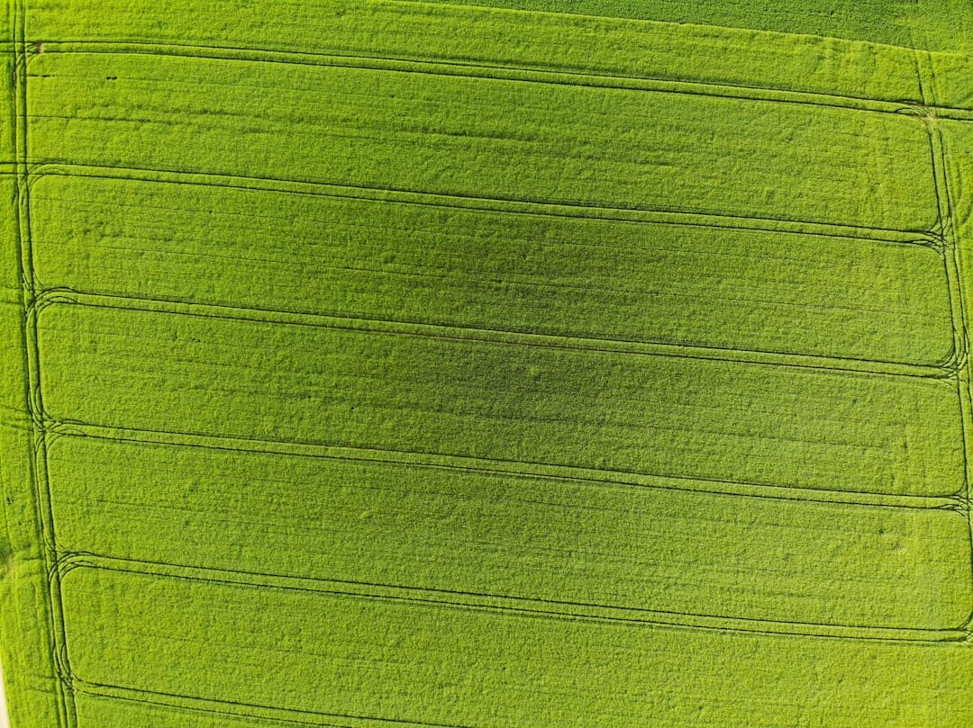 Photo Image: Sustainability Report Nouns: Green audit, NAAC