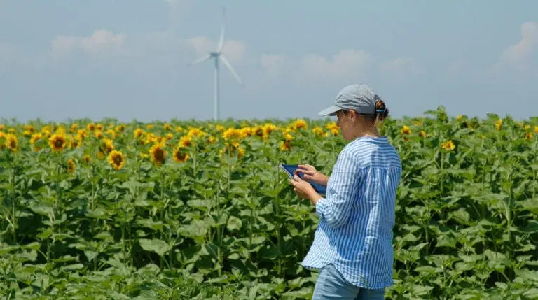 A person in a blue-striped shirt and cap uses a tablet for air quality analysis while standing in a sunflower field, with a wind turbine visible in the background under a clear sky.