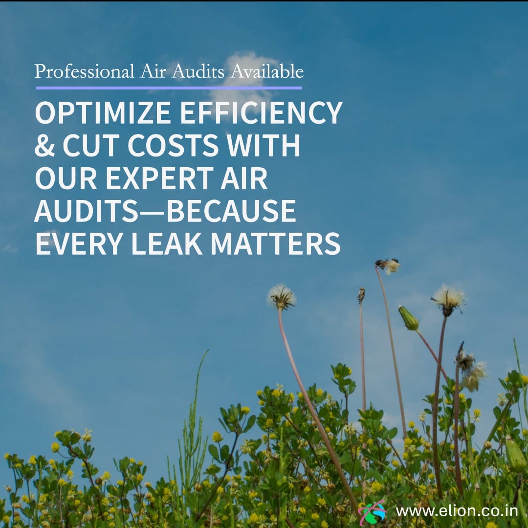 A field of green grass and dandelions under a blue sky, with text highlighting expert air audit services to optimize efficiency and cut costs. The website www.elion.co.in appears at the bottom right.