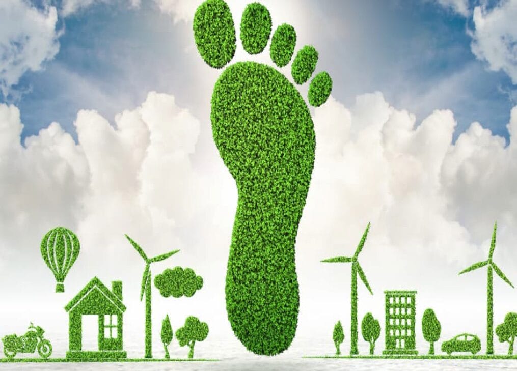 Elion Carbon Footprint