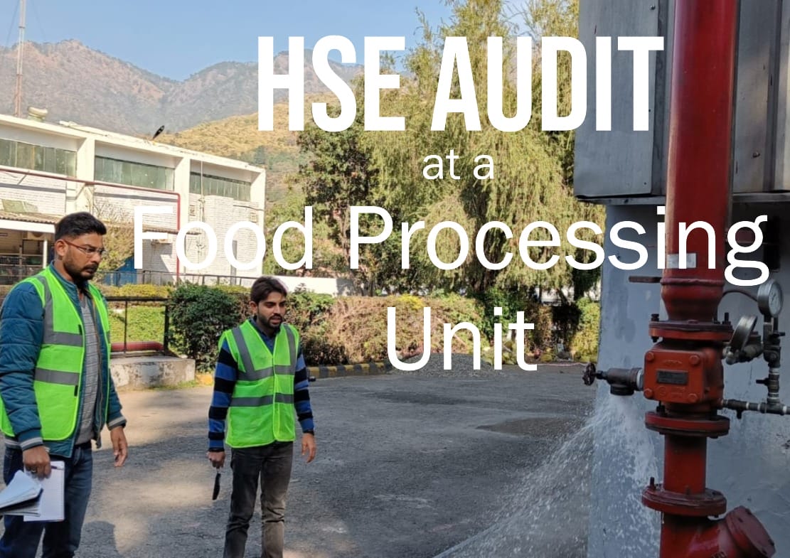 Two men in green safety vests conduct a safety audit of outdoor equipment at a facility. Mountains and a building are visible in the background. Large text reads, HSE AUDIT at a Food Processing Unit.