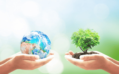 Two hands are holding a globe, and two other hands are holding a small tree with soil, symbolizing environmental care and sustainability against a soft, bright background.