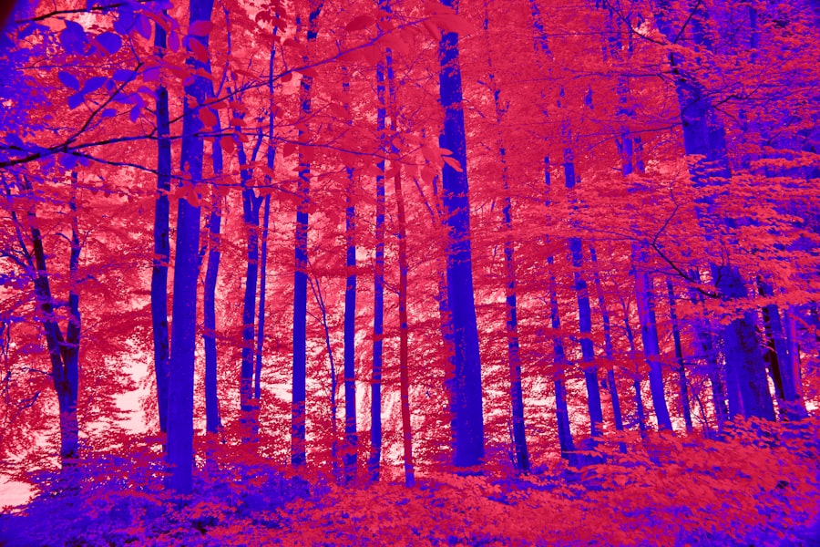 Photo Thermal Imaging