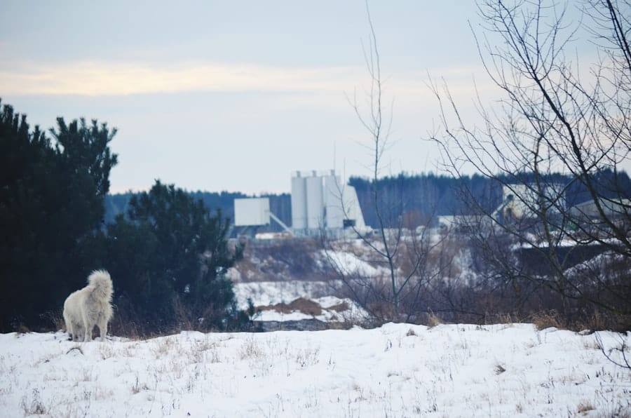 Refinery Tank Farm