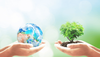 Two hands are holding a globe, and two other hands are holding a small tree with soil, symbolizing environmental care and sustainability against a soft, bright background.